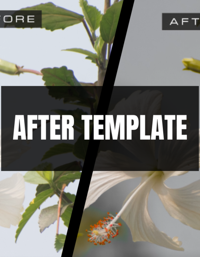 BeforeAfter Photography Template